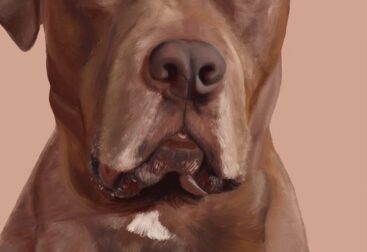 Large brown dog portrait