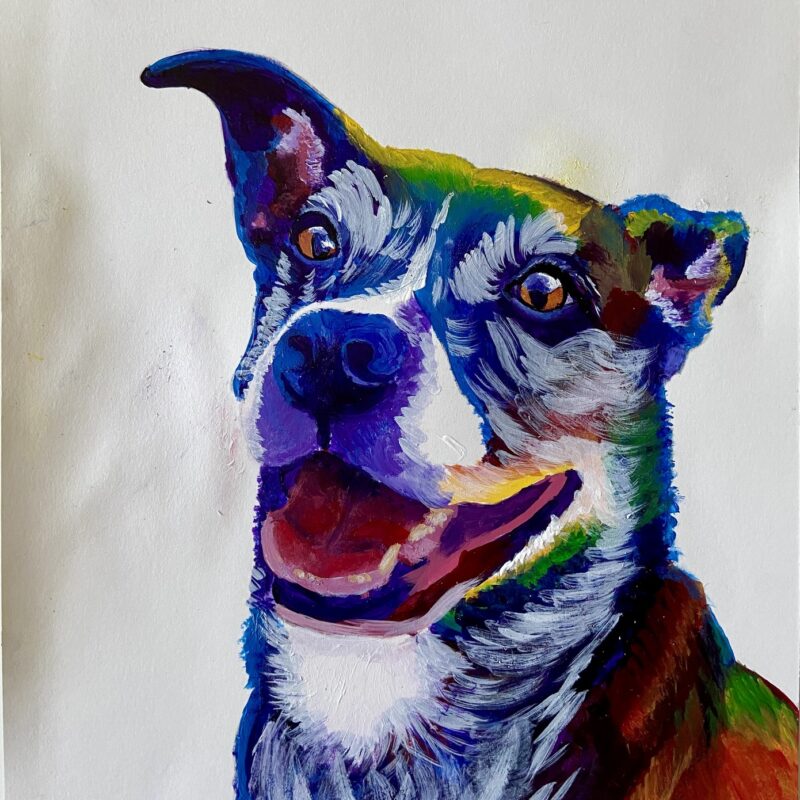 Colorful dog with mouth open, smiling