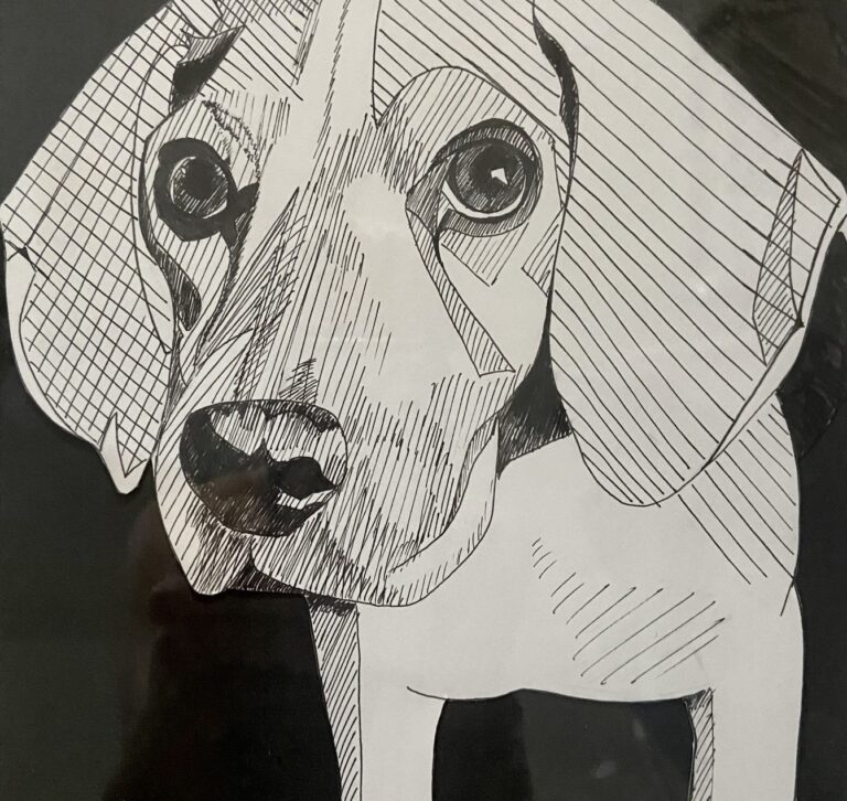 Beagle drawn in pen and ink