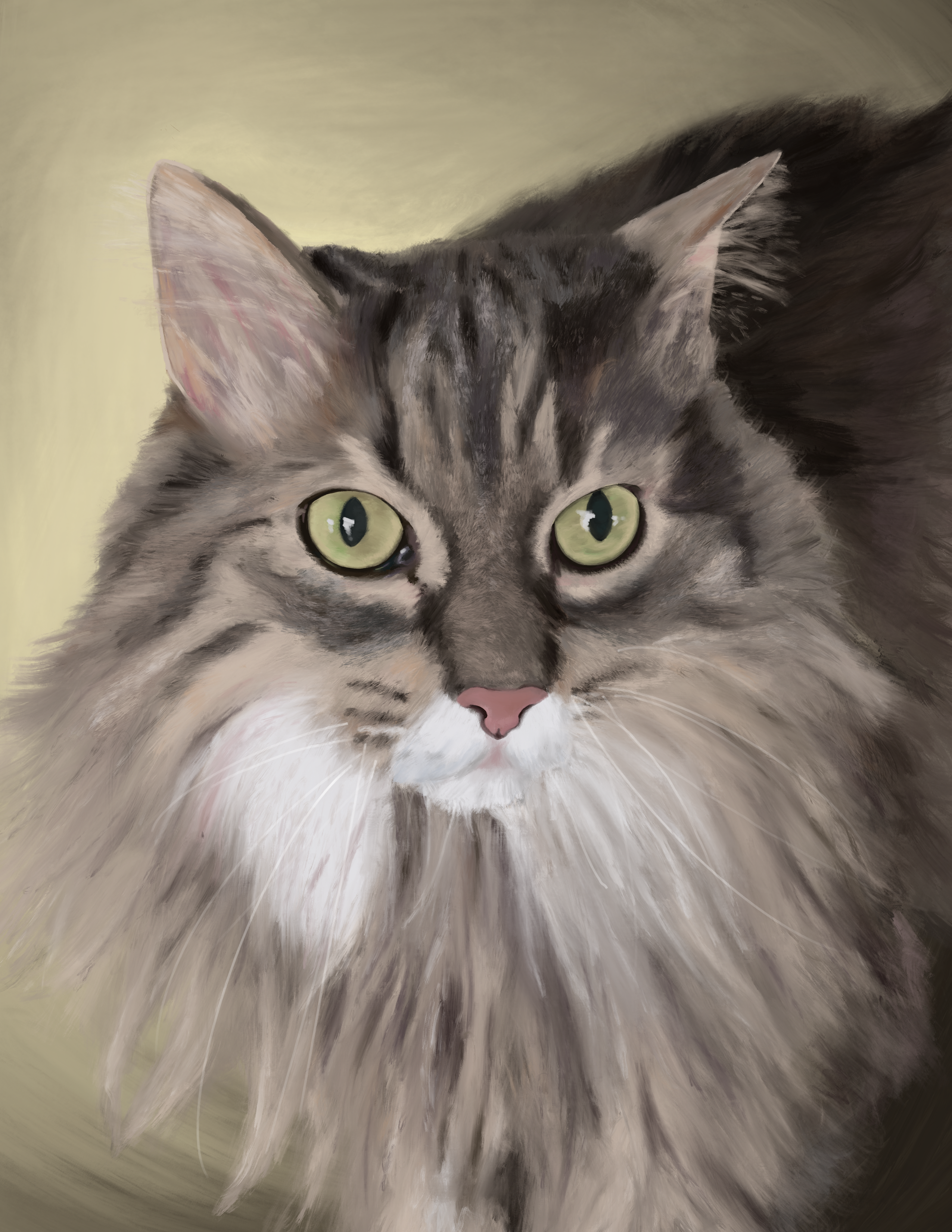 Fluffy cat with green-yellow eyes